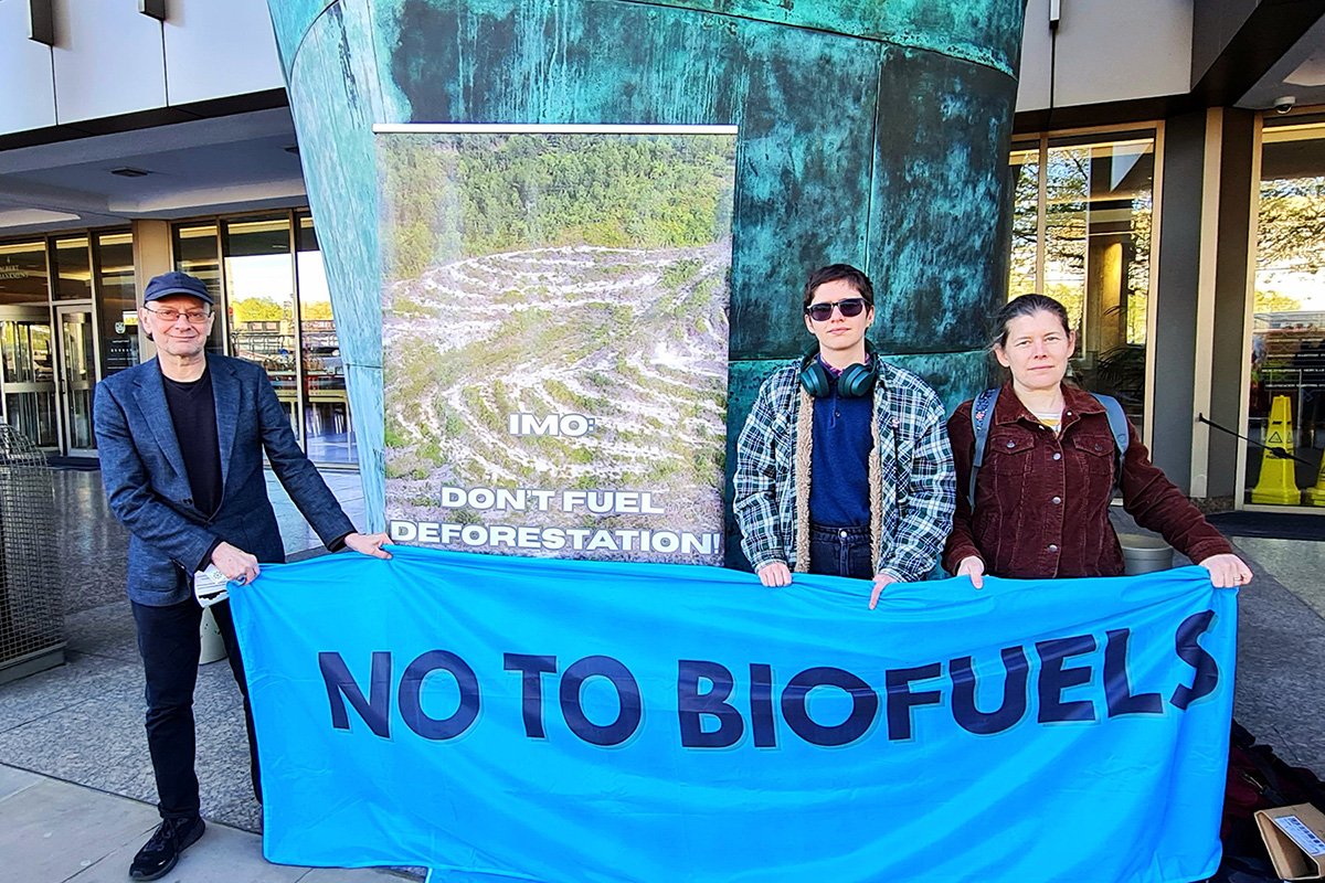 Conservation_groups_urge_governments_to_reject_biofuels_in_shipping_decarbonization_plans_1